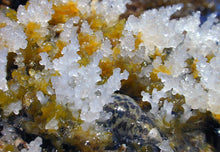 Load image into Gallery viewer, Antique Drawers